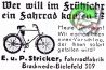 Stricker 1936 12.jpg